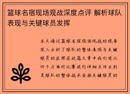 篮球名宿现场观战深度点评 解析球队表现与关键球员发挥