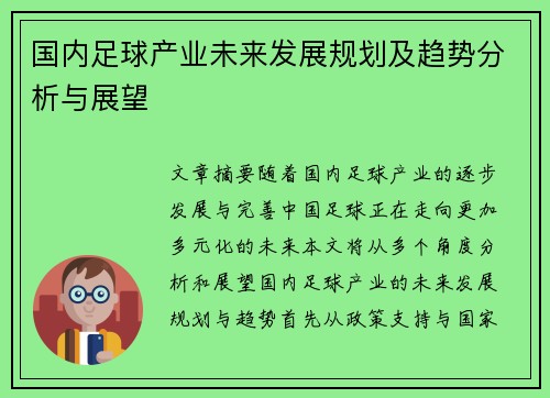 国内足球产业未来发展规划及趋势分析与展望